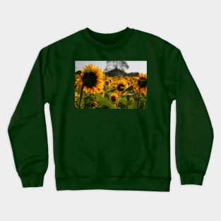 Sunflowers Crewneck Sweatshirt